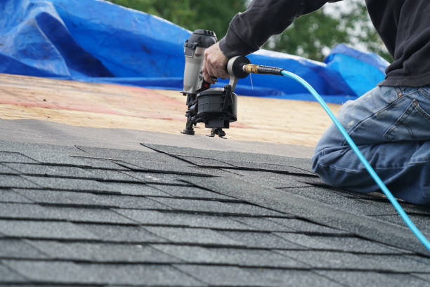 Best Roof Gutter Cleaning  in Thatcher, AZ
